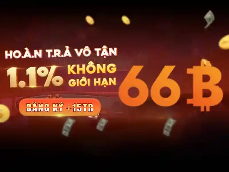 66b và những khía cạnh của nó