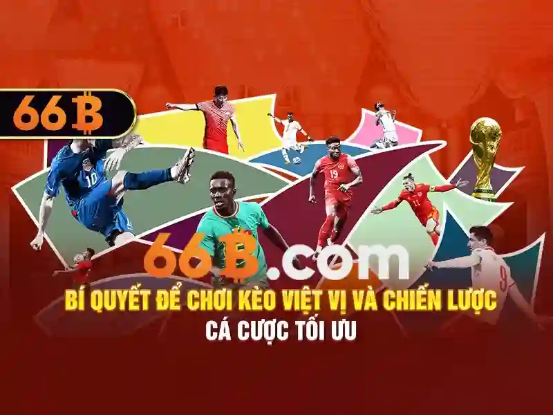 66b: một khái niệm và hành trình của nó