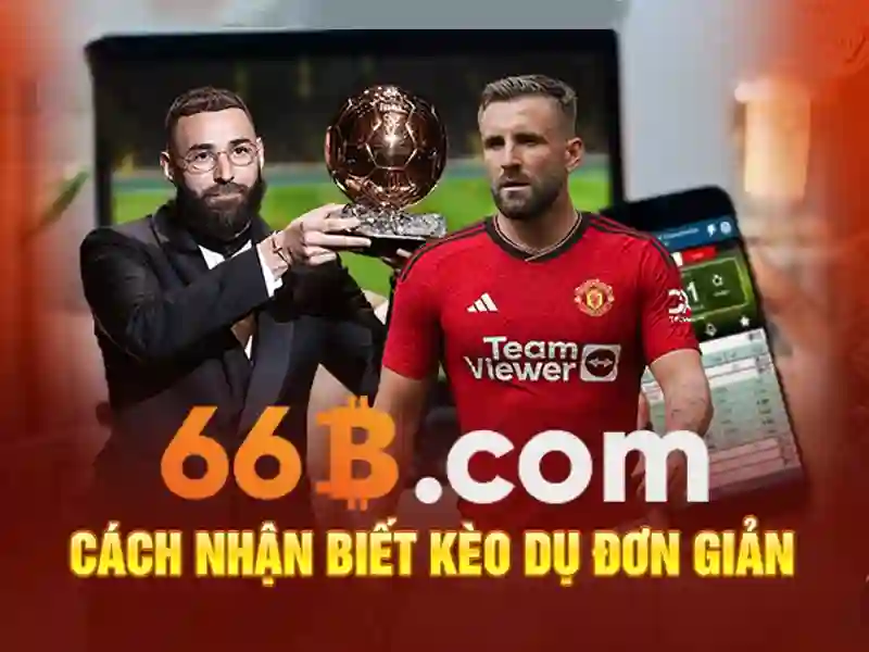 Sản phẩm và dịch vụ cốt lõi: áp dụng thực tế của 66b trần hưng đạo