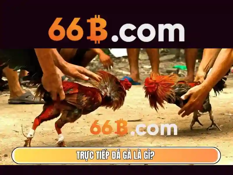 Khả năng ứng dụng và ví dụ