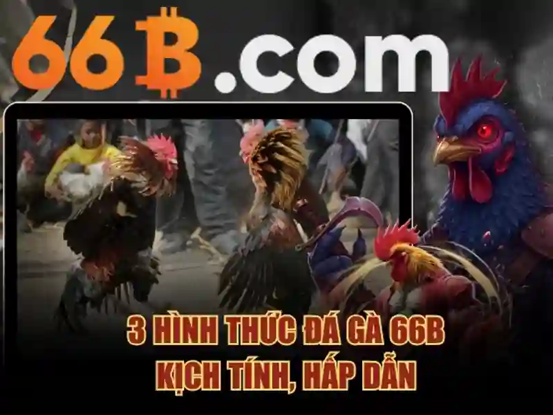 Tương lai của 66b và các hướng nghiên cứu