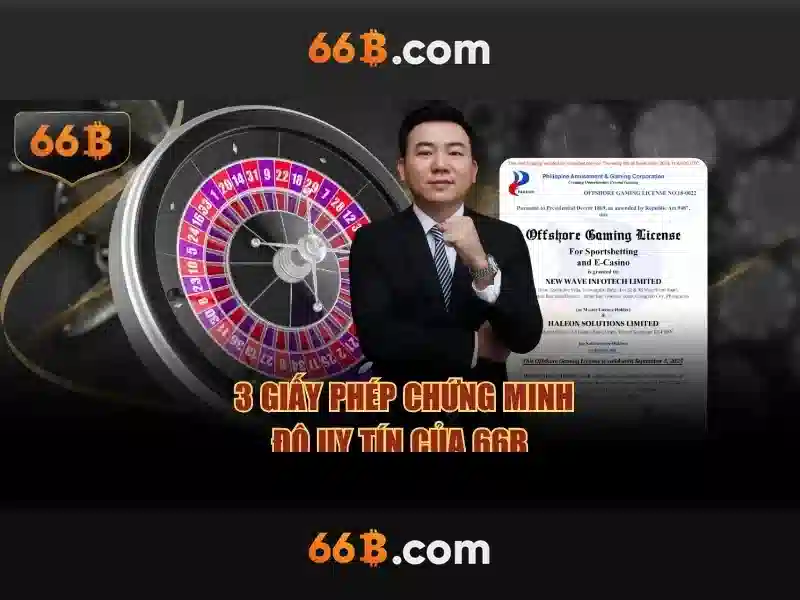 66b trong thiết kế và thị trường