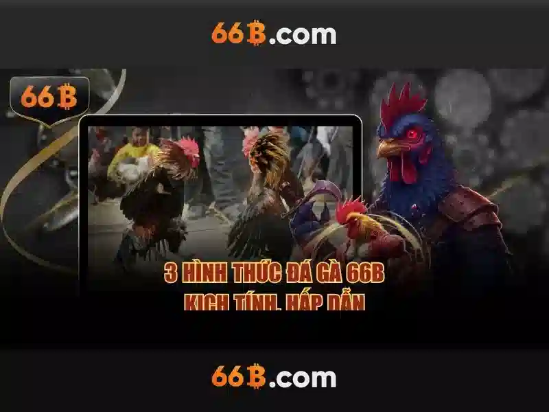 66B: Mô tả và ảnh hưởng 66B: Mô tả và ảnh hưởng