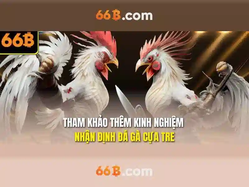 66b nhentai – Định vị thương hiệu và ứng dụng toàn diện