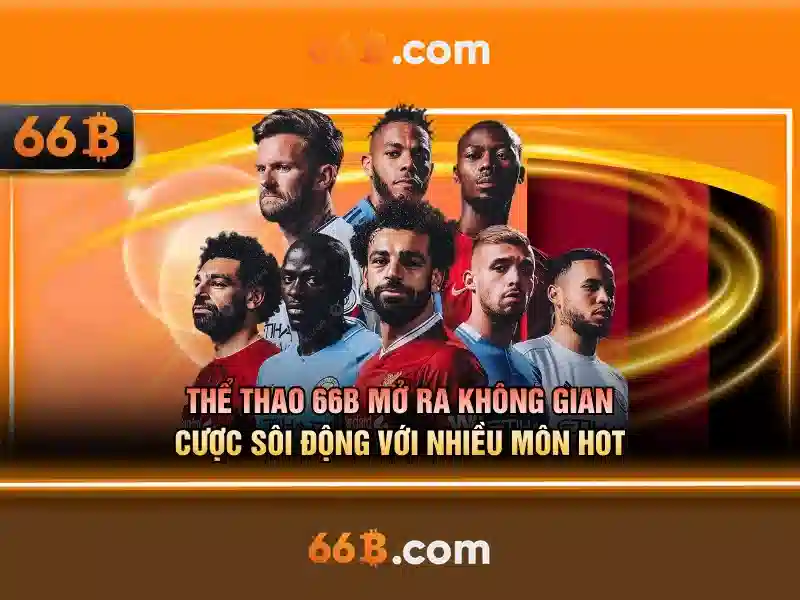 66b: một khái niệm và sự phát triển