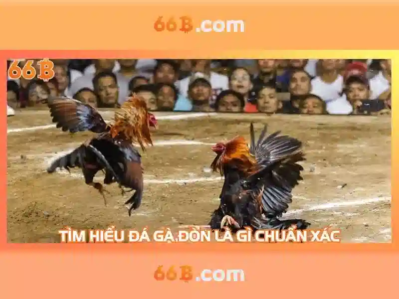 Cấu trúc và huấn luyện Cấu trúc và huấn luyện