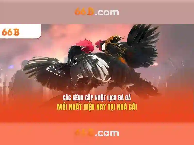 Ứng dụng tiềm năng
