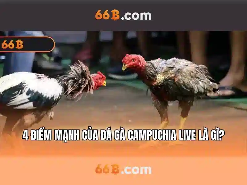 Chính sách và đạo đức Chính sách và đạo đức