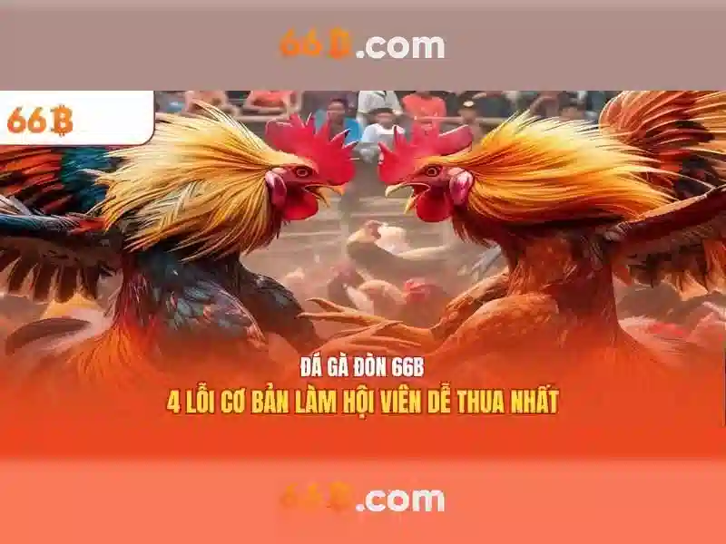 66b: Khái niệm, đặc điểm và tiềm năng