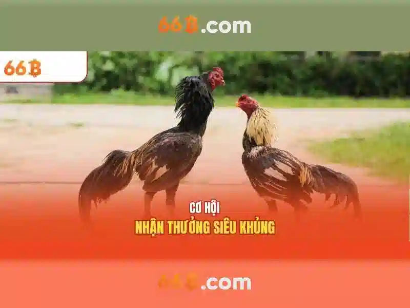 Đa ngôn ngữ và khả năng hiểu