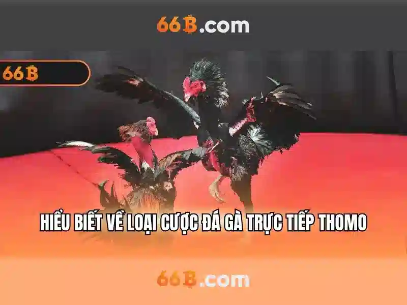 Kiến trúc và tham số