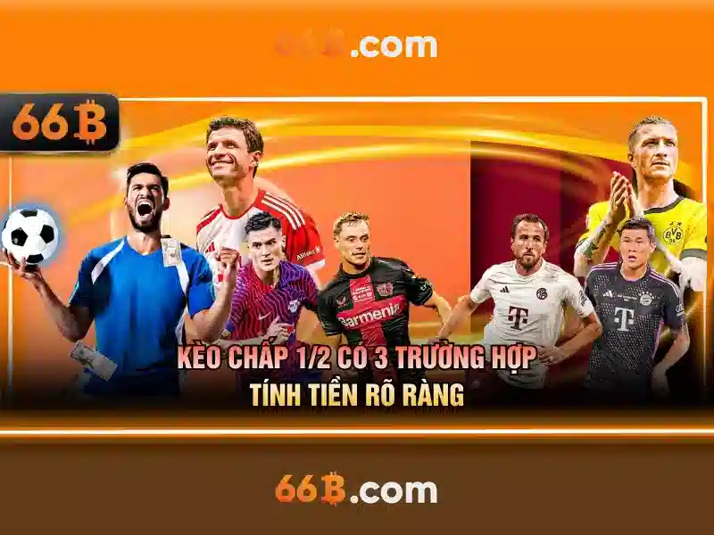 Khám phá mô hình 66B: kích thước, khả năng và ứng dụng