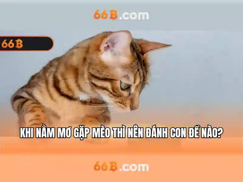 k9-66b lantern – Đèn chiến lược cho doanh nghiệp