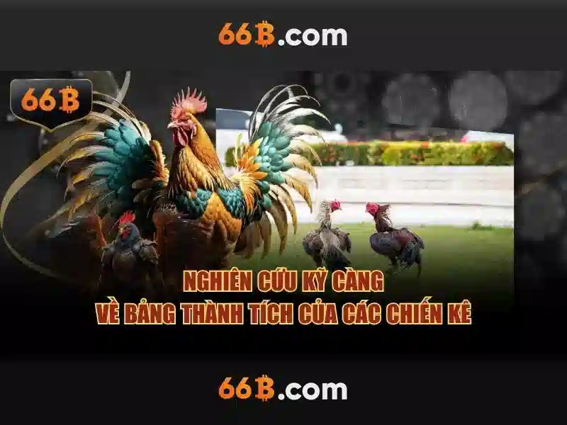 Ví dụ thực tế về 66b