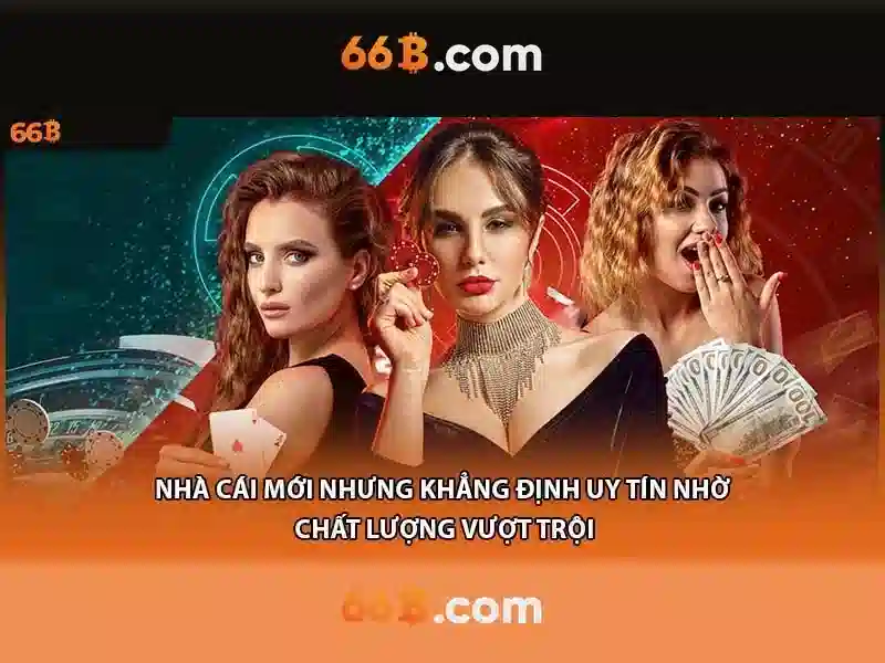 66b: một khái niệm và con đường khám phá