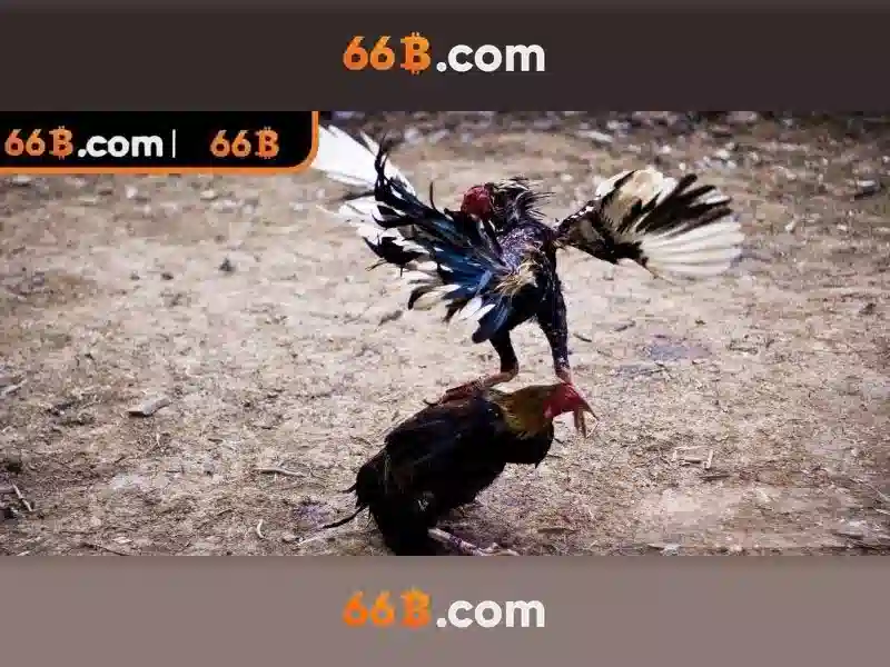 66B: Khám phá công nghệ và ý nghĩa