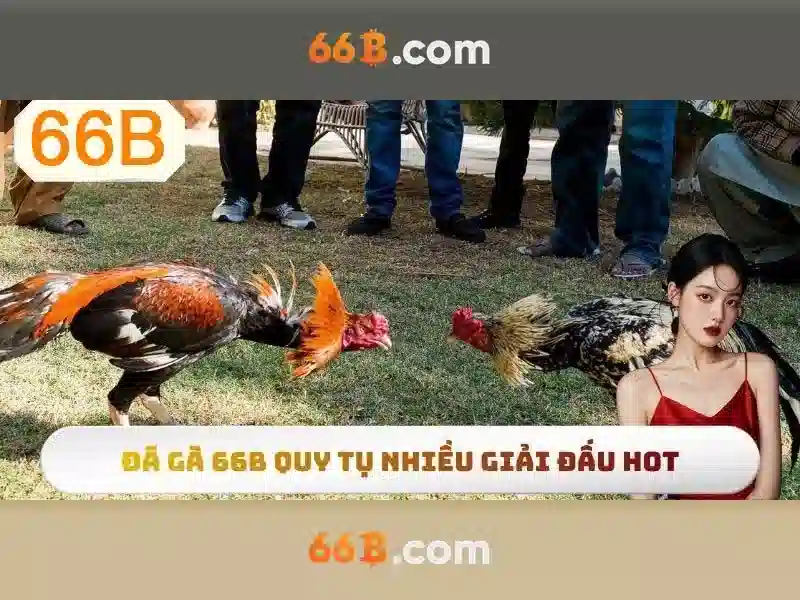 66B: Mô hình 66 tỷ tham số và tương lai của AI ngôn ngữ