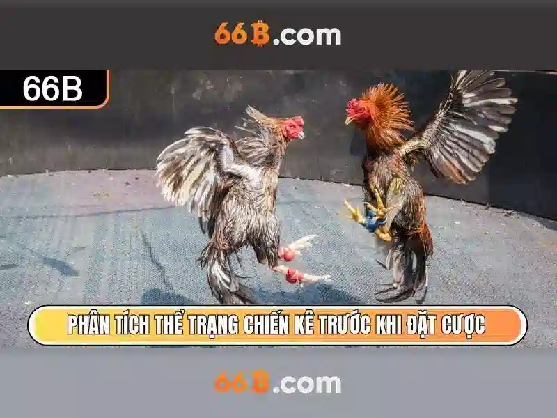 Kiến trúc và cách hoạt động