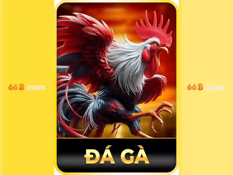 66B: Mô tả và ảnh hưởng