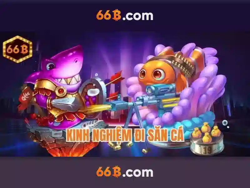 66b: một khái niệm và hành trình của nó