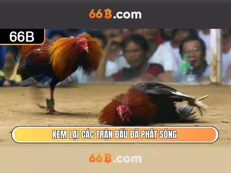 66b: Khái niệm và tiềm năng công nghệ tương lai