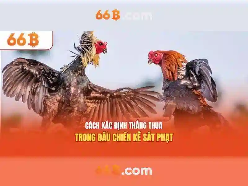 66B là gì và vì sao nó có sức mạnh