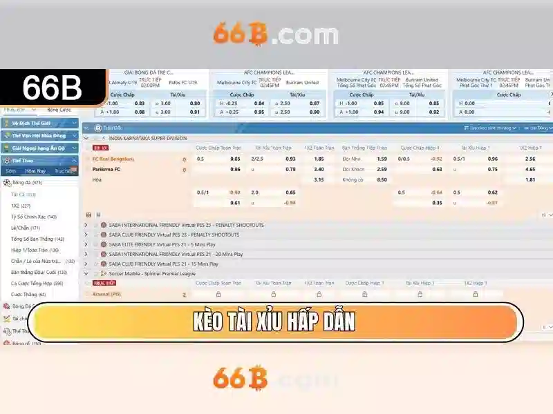 Giới thiệu về 66B