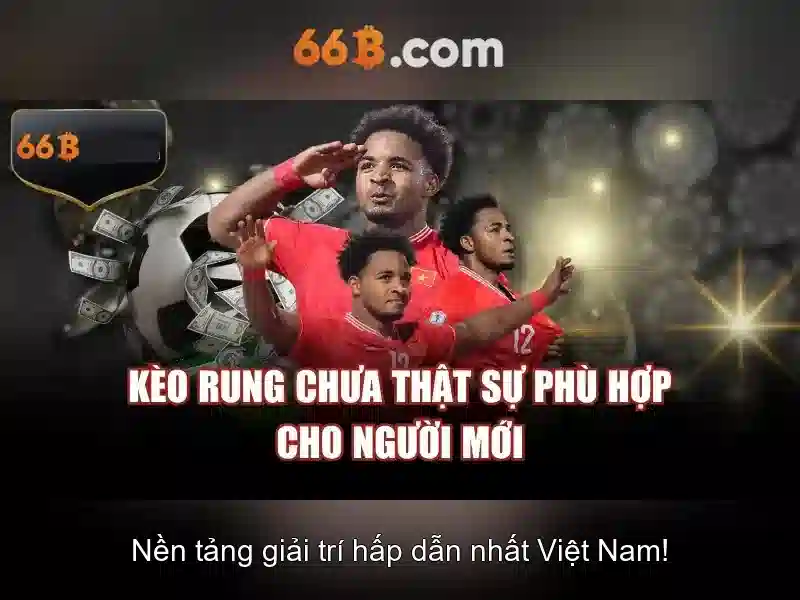 66b là gì?