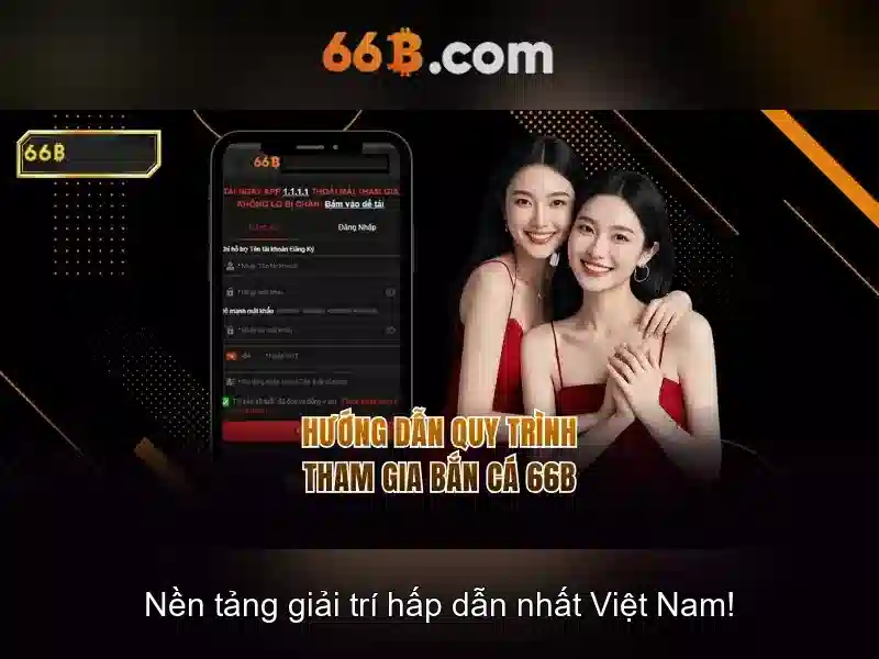 Giới thiệu về 66B