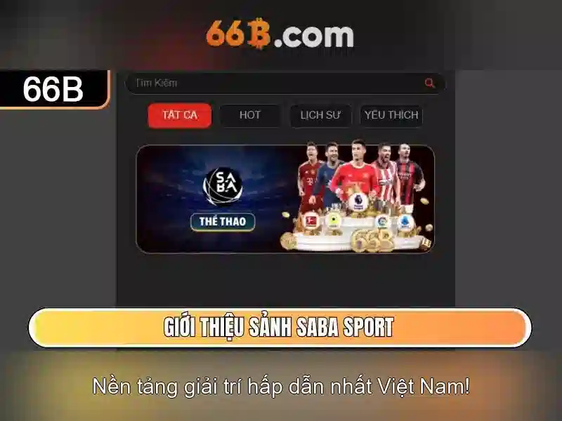 Thách thức và tương lai của 66B