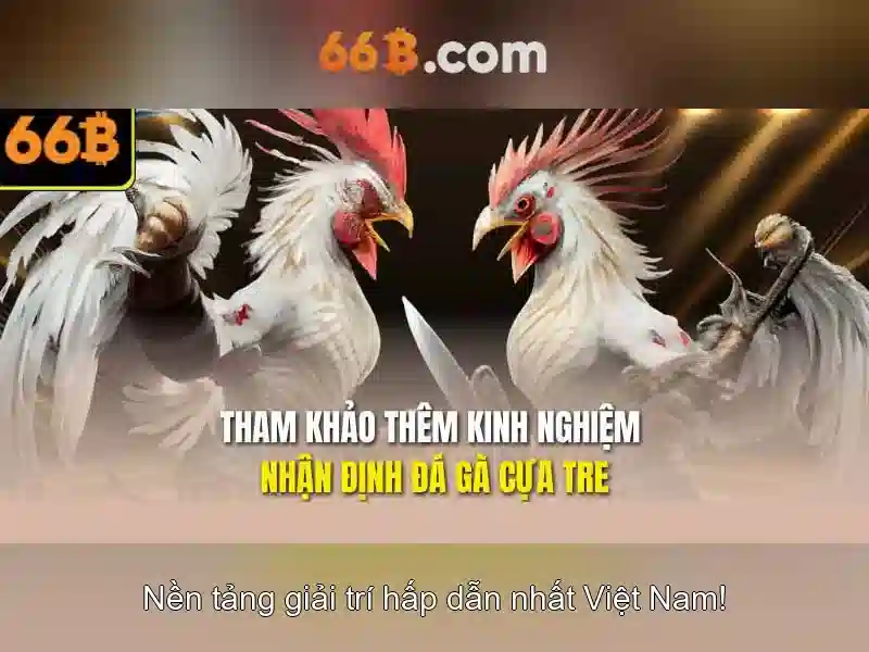 66B: khái niệm, ứng dụng và thách thức
