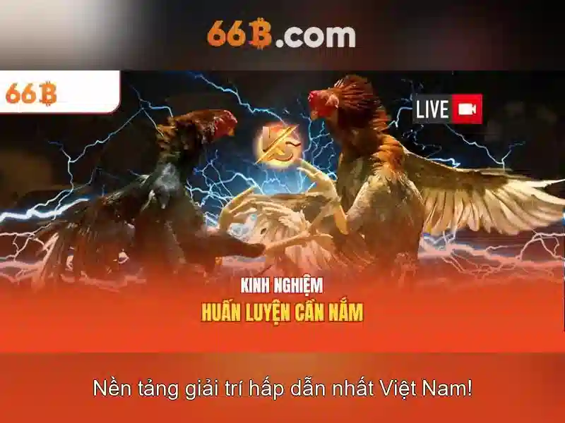 Cấu hình và kiến trúc