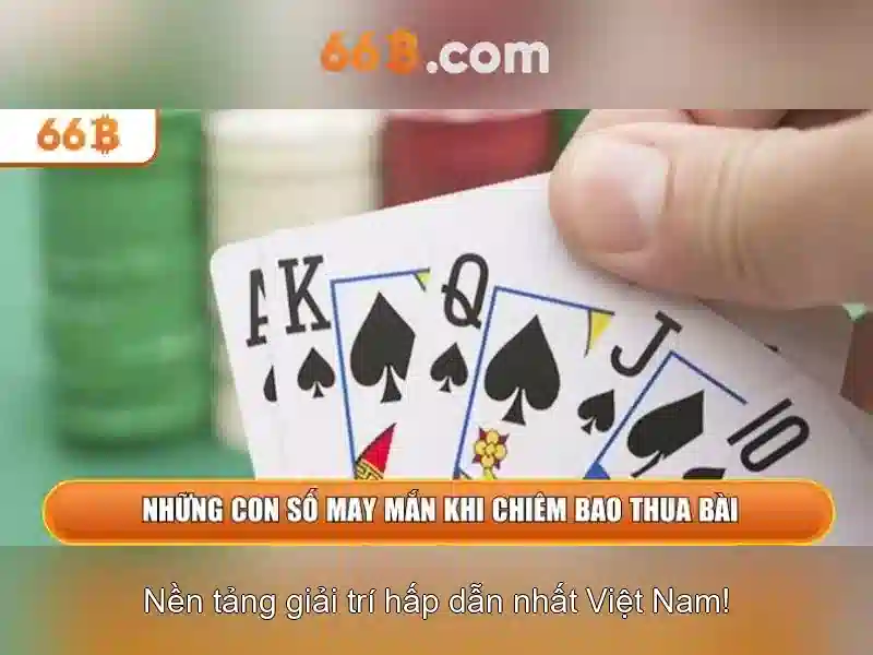 66B: Khái niệm và tiềm năng