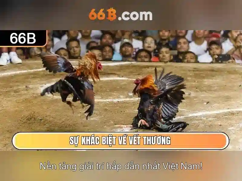 Tương lai của 66b và nghiên cứu mở