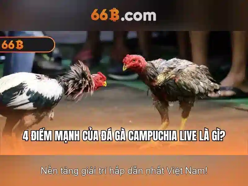 66B: Tổng quan về siêu mô hình ngôn ngữ 66B