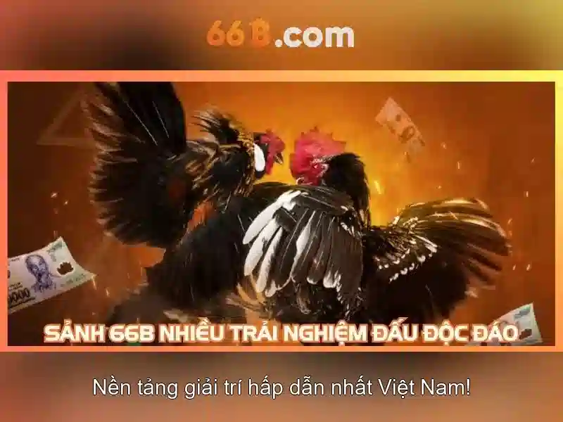 66b: Khái niệm và tiềm năng