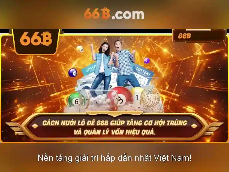 66b là gì và ý nghĩa của nó trong công nghệ