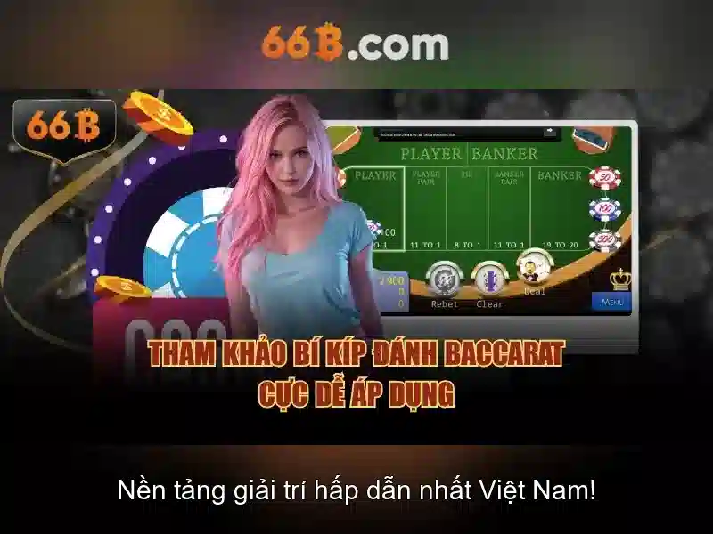 66B là gì và tại sao nó quan trọng