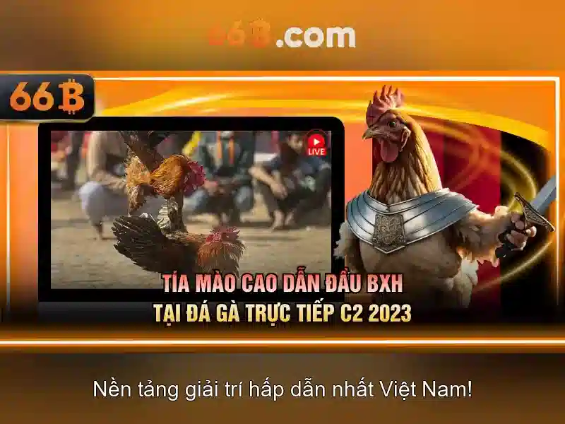 Đặc điểm chính của 66b