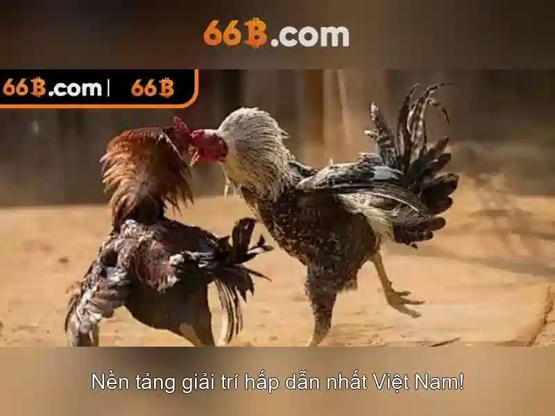 Ứng dụng tiềm năng của 66b trong công nghệ