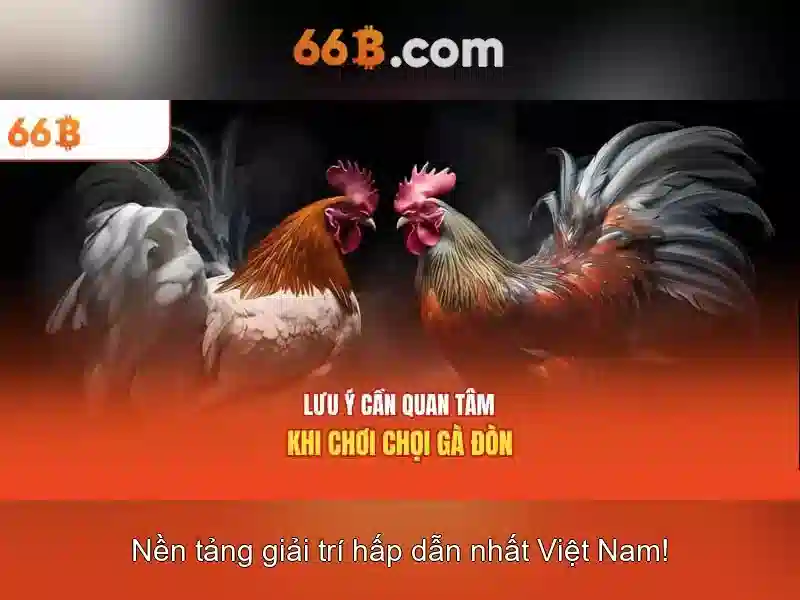 Kiến trúc và đào tạo