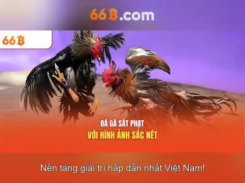 66 tỷ tham số: một cái nhìn tổng quan