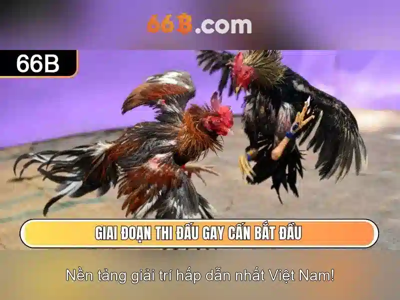 66b la mot khai niem cong nghe moi