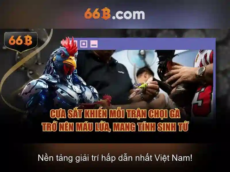 66B là gì? 66B là gì?