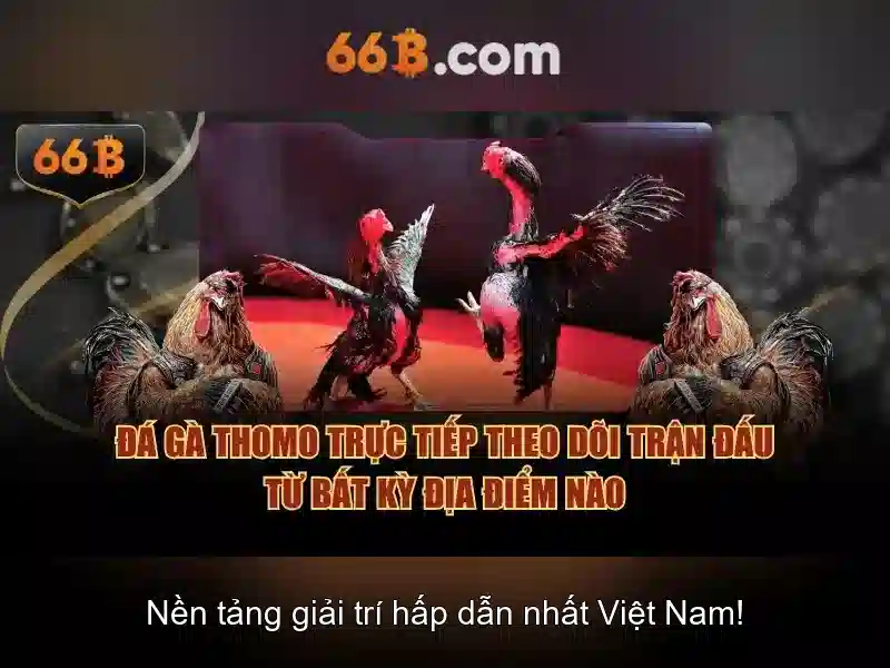 Ứng dụng thực tế của 66b trong doanh nghiệp