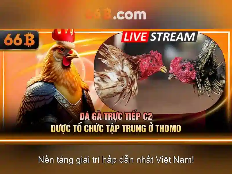 Cách nhận diện và áp dụng 66b trong thực tiễn Cách nhận diện và áp dụng 66b trong thực tiễn