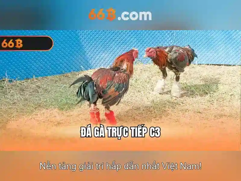 ngõ 66b triều khúc – Hành trình kết nối giá trị và trải nghiệm