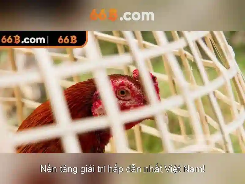 Kiến trúc và quy mô tham số Kiến trúc và quy mô tham số