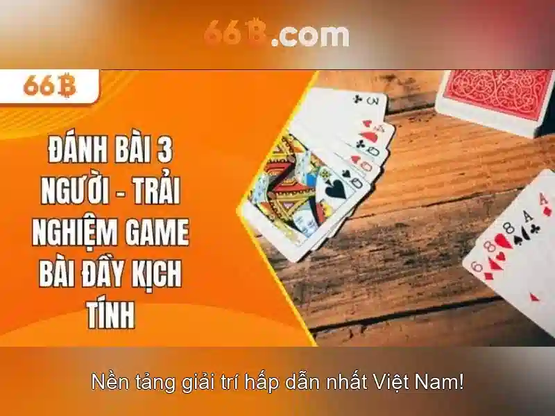 66b: một khái niệm đa tầng trong nhiều lĩnh vực