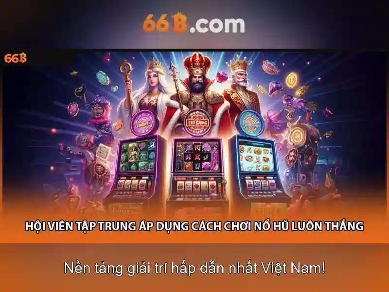 66b: một ký hiệu đa ngữ và đa lĩnh vực